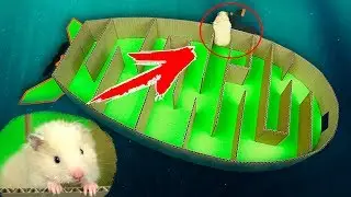 Hamsters' escape from a submarine maze ⚓️ | Carton maze for hamsters - DIY