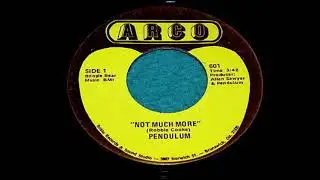 Pendulum - Not Much More (197?)