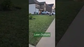 Keep that lawn very demure. #verydemure #verymindful #verycutesy #lawnlife #lawncare #funnylaugh