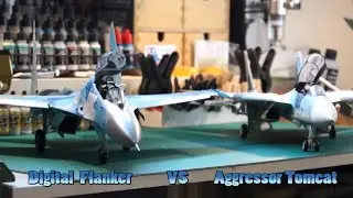 Digital Flanker VS Aggressor Tomcat