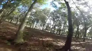 Forest Flying ~ ZMR250 FPV Drone Racing ~ 60fps ~ Klinger FPV