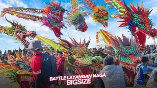 Super Bigsize King Class! Indonesian Kite Festival Categories World's Largest Dragon Kite