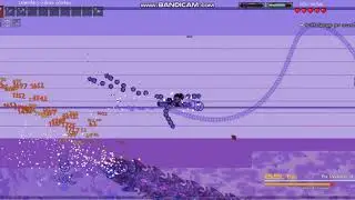 Terraria Calamity | Devourer of Gods | No Hit