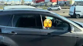 Do you like to look through the windows to see who is doing what in the car?
