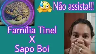 FAMÍLIA TINEL X  SAPO BOI, NÃO ASSISTA  😲 !!!