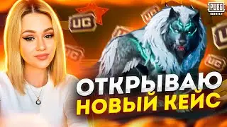 😍ВЫБИЛА ПИТОМЦА ВОЛКА И СКИНЫ НА НЕГО В PUBG MOBILE! ОТКРЫВАЮ НОВЫЙ КЕЙС В ПУБГ МОБАЙЛ