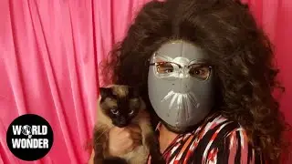 Stream Queens: FAB DRAG FIVE 102