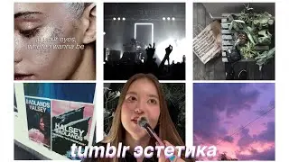 Tumblr-era nostalgia: halsey, purple sunsets, multifandom culture