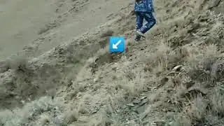 Охота на зайца! Кыргызстан