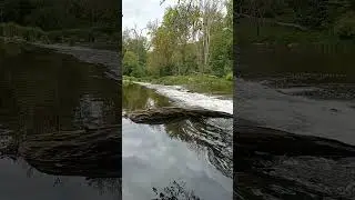 Dyje #shorts #nature #relax #water