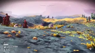 Nms