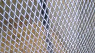 Epic Fail on Montgomery Freight Elevator at The Mall in Columbia, Columbia, MD