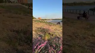 21 мая 2023 Павлодар Казахстан  Весна, цветочки, Набережная, Иртыш Благовещенский собор 