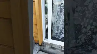 20 июня 2024 г.