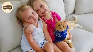 The Rescue Cat Who Became the Sweetest Big Brother to My Kids