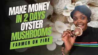Make Money in 2 Days with Oyster Mushroom Farming +254 720448250
