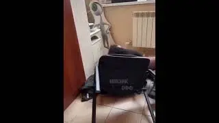 Покаталась !!!!😂😂💯💯💯#shorts #смешныевидео#youtubeshorts