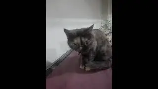 Dapur Mom Bundha Muanja😍🥰🥰👍🏻🤲🏻😇