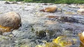 Томь