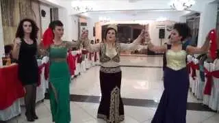 Kanagjegji i Nores Dasma Shqiptare  (MPP)