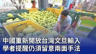 中國重新開放台灣文旦輸入 學者提醒仍須留意兩面手法｜20240902 公視晚間新聞