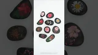 Pressed Flower Rocks 🌸