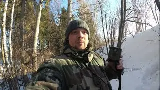 В поисках барсука, фотоловушка KUBIK ждала его выход из спячки, МЕСЯЦ