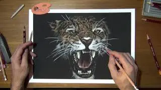 como desenhar uma onça pintada realista colorida- speed drawing - Curso de Desenho IPStudio