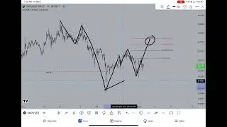 XRP $13 PROGRAMMED