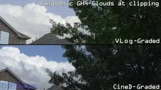 CineD v Vlog Test - GH4