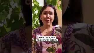 ПРАКТИКА ВЕЗУНЧИК 