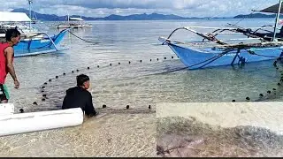 NA TRAP ANG MGA  ISDA SA LOOB NG LAMBAT