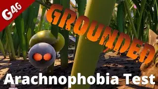 Arachnophobia Test | Grounded | Spiders Included!