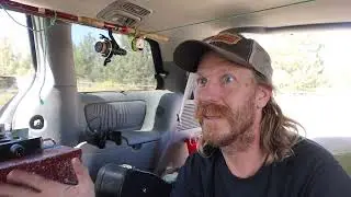 Van Tour On the Wild Side