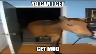 CAN I GET MOD?