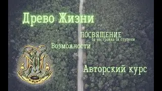 Мастер-класс “Древо жизни. Посвящение в 1ю настройку первой ступени”