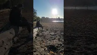 Kitsilano Beach, Vancouver, BC.