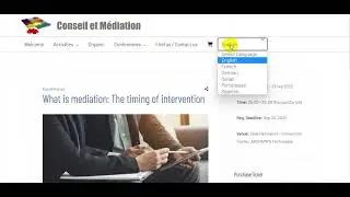 Gtranslate plugin conflict with WPML plugin