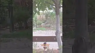 срочно всем мчс пожар! 🔥