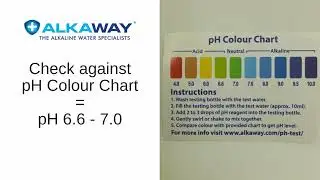 Instructions | Measuring the Ph of the Water