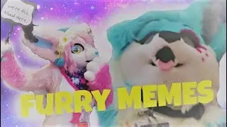 Furries on a Sugar Rush | Texas Furry Fiesta 2018