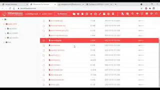 Link WordPress File Manger files with Database (phpMyAdmin)