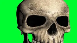 FREE HD Green Screen | SKULLS! | 2 DIFFERENT TERRIFYING 3D MOTION