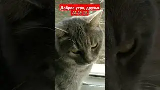 Новый вид из окошка👫❤☺