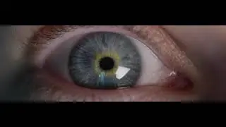 LumaPicture.com