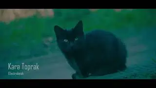 Electrabesk - Kara Toprak