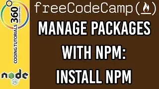 Manage Packages with NPM: Install NPM NodeJS and ExpressJS