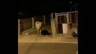 один момент из жизни