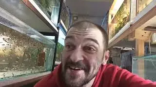 Склеили ещё один Аквариум для маленькой Разводни!!!