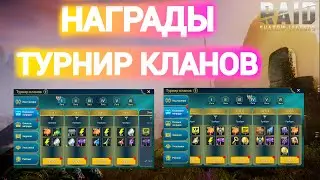 Raid Shadow Legends|Награды за турнир кланов на новичке и основе